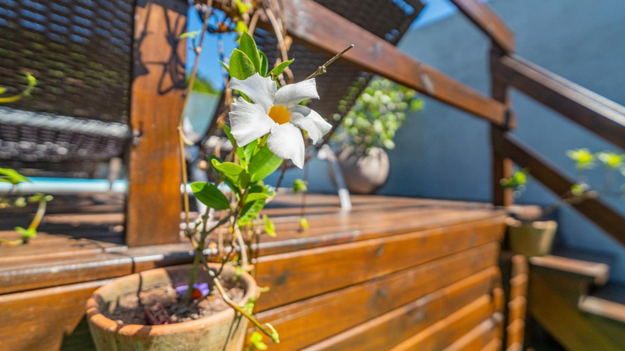 Villa Residencial Com Piscina Possui Jacuzzi Aquecida Com Hidromassagem Bombinhas Exterior foto